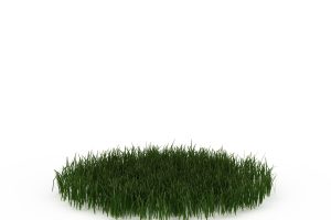 iGrass|3DMax草地建模植物包
