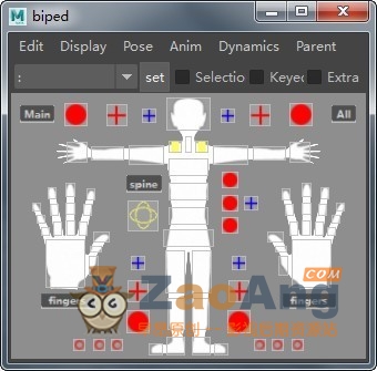 AdvancedSkeleton v5.712免费版|MAYA骨骼插件