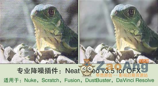 Neat Video v3.5 for OFX|Nuke,Fusion,达芬奇专业降噪插件：