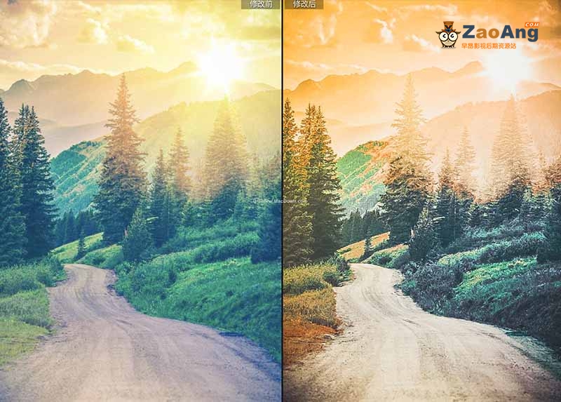 Digital Film – Lightroom Presets Bundle|30组 Lightroom 照片调色预设