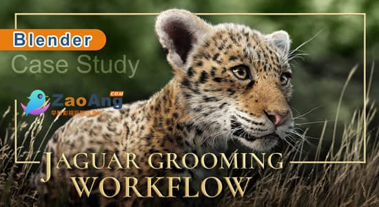 Blender教程-三维真实毛发模拟制作|Jaguar Grooming Workflow