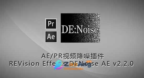 RE VisionFX DENoise 3.3Win/Mac/Linxu版|OFX视频降噪插件