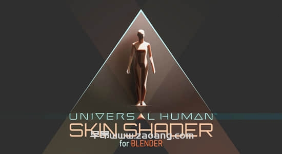 Universal Human Skin Shader