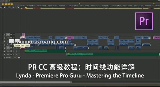 Premiere Pro Guru