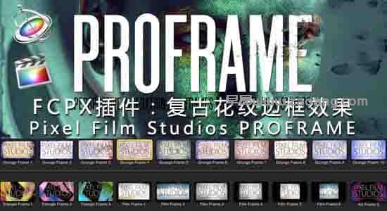 Pixel Film Studios PROFRAME