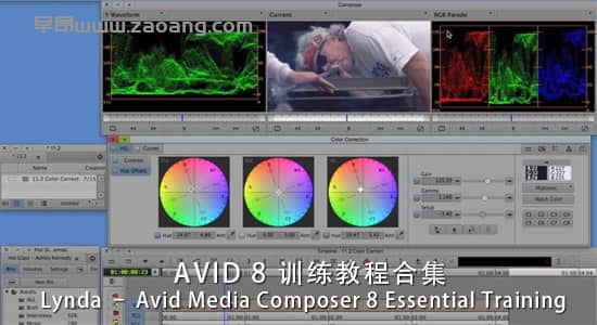 Avid Media Composer 8 Essential Training