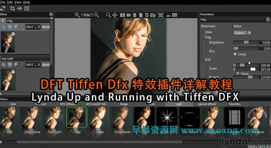 DFT Tiffen Dfx